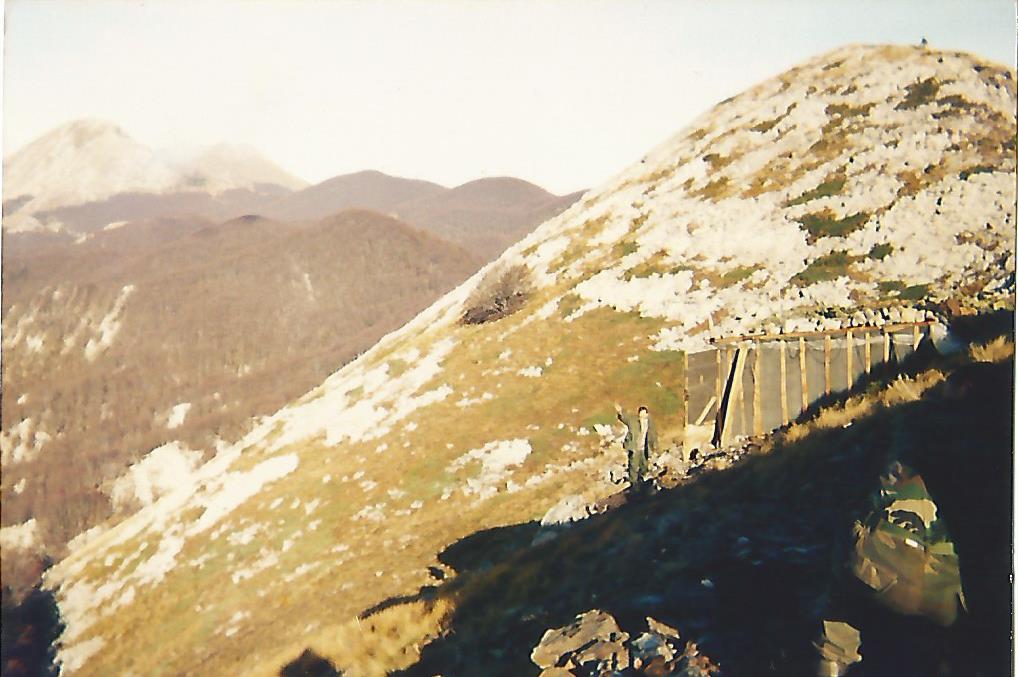 Scan2.jpg