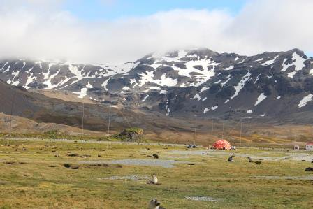 South Georgia.png