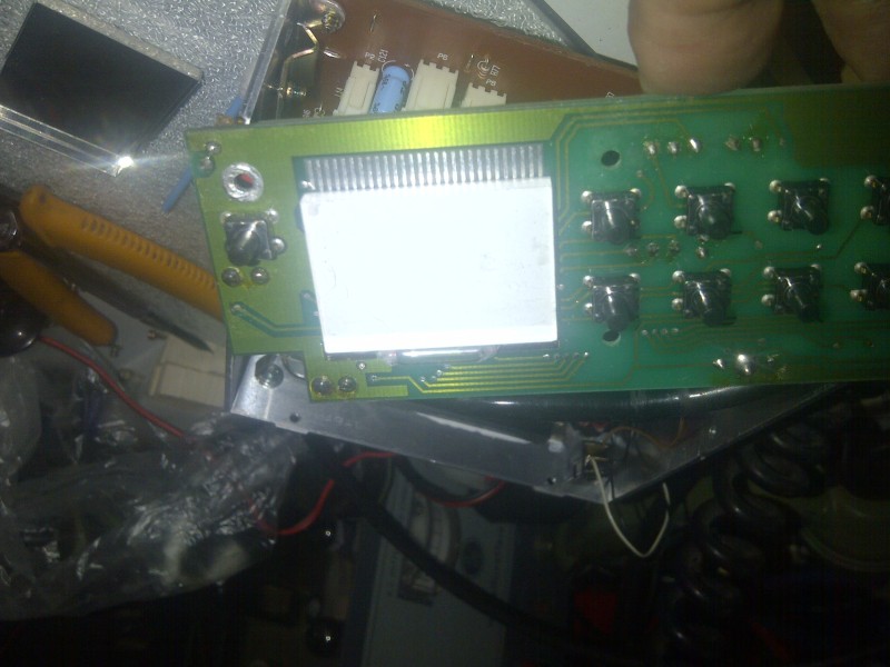 IMG-20150623-00973.jpg